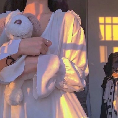 机动警察剧场版2