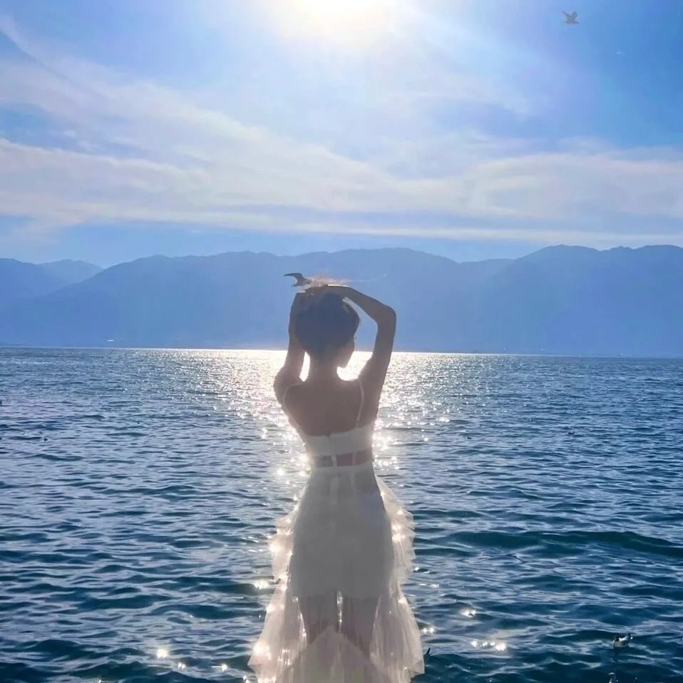 中国诗词大会第六季